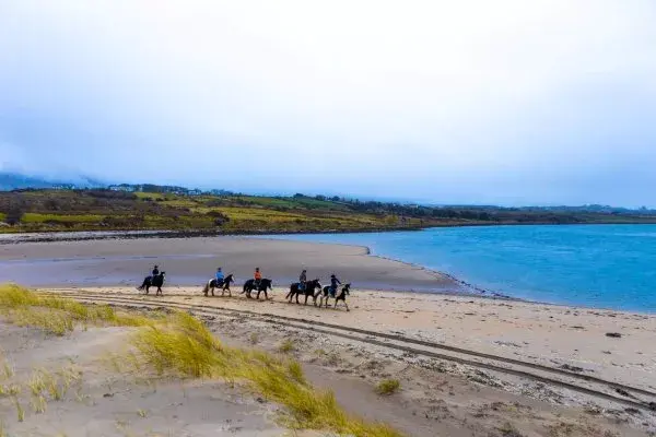 Strandgalopp&comma; eigene Insel - Irland pur