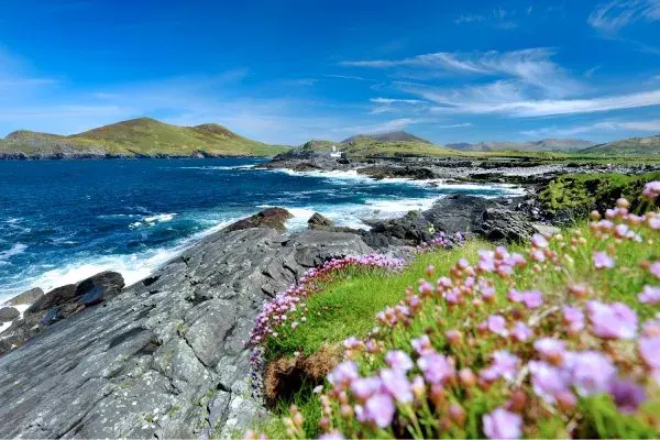 FRANCOROSSO INTOUR BELLEZZE D'IRLANDA