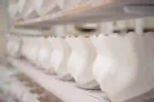 Souvenirs-Belleek-insetcms