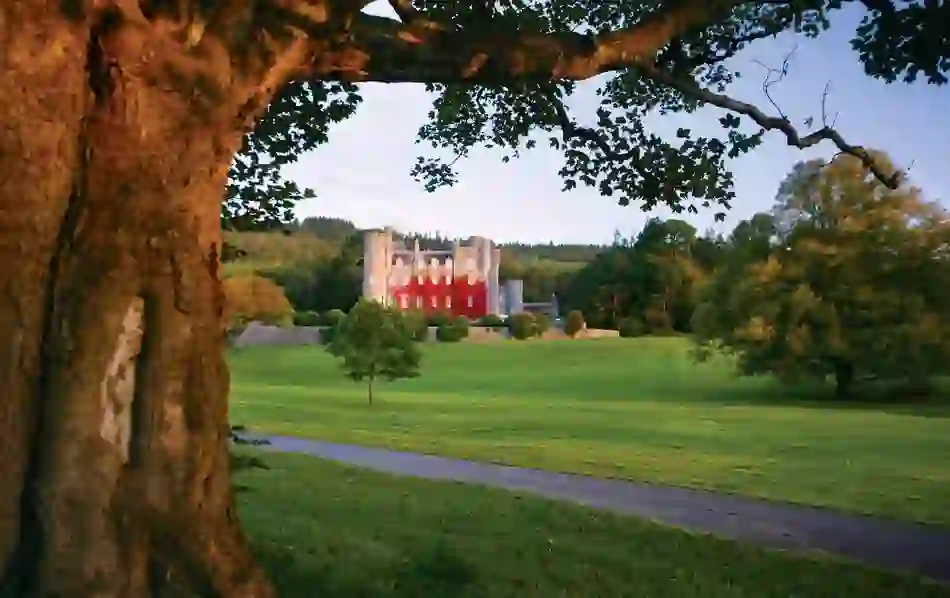 8parks-castlewellanforestpark