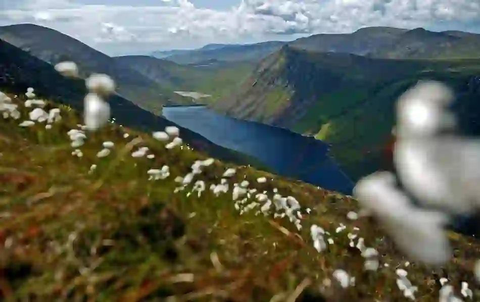 8memories-mournes-herov1