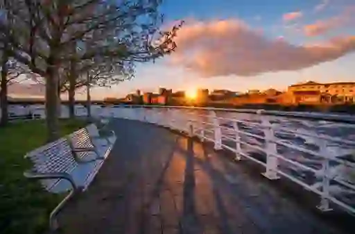 ashes-limerick-insetcms