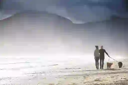32617_Dog walking at Murlough Bay Beach