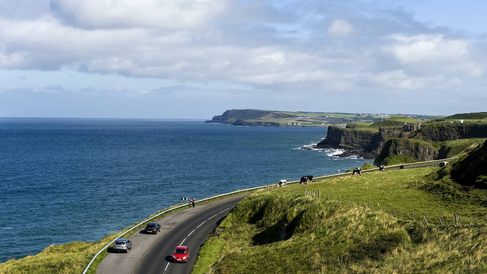 Auto's rijden over een kronkelende kustweg boven de Atlantische oceaan, met kliffen en grazende koeien aan de Antrim kust van Noord-Ierland.