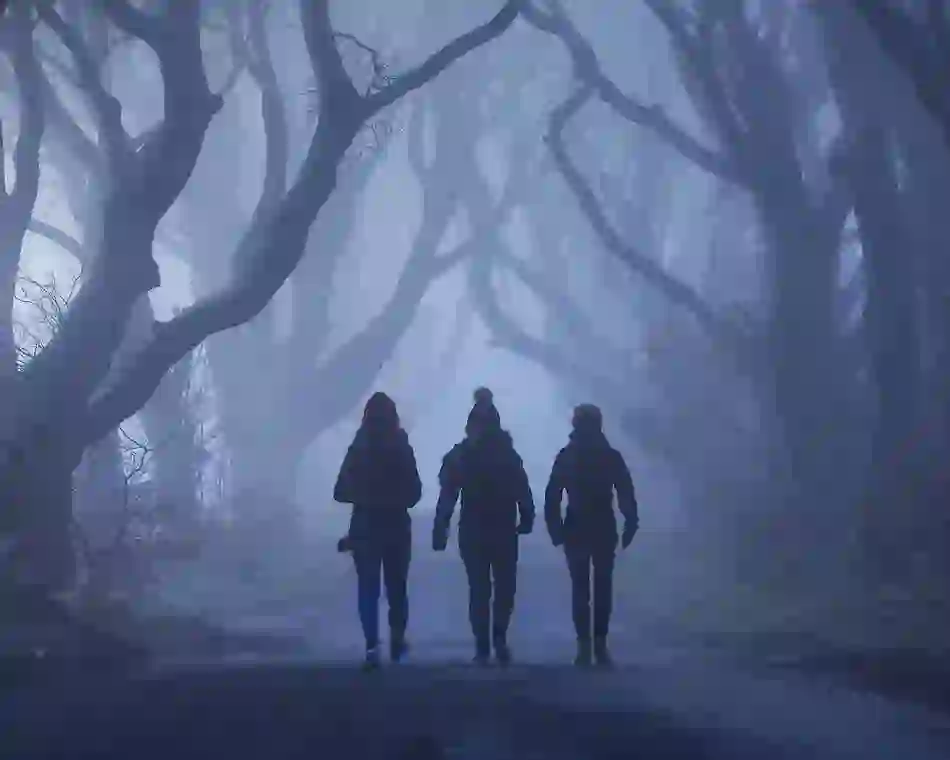 dark-hedges-county-antrim-silhouette