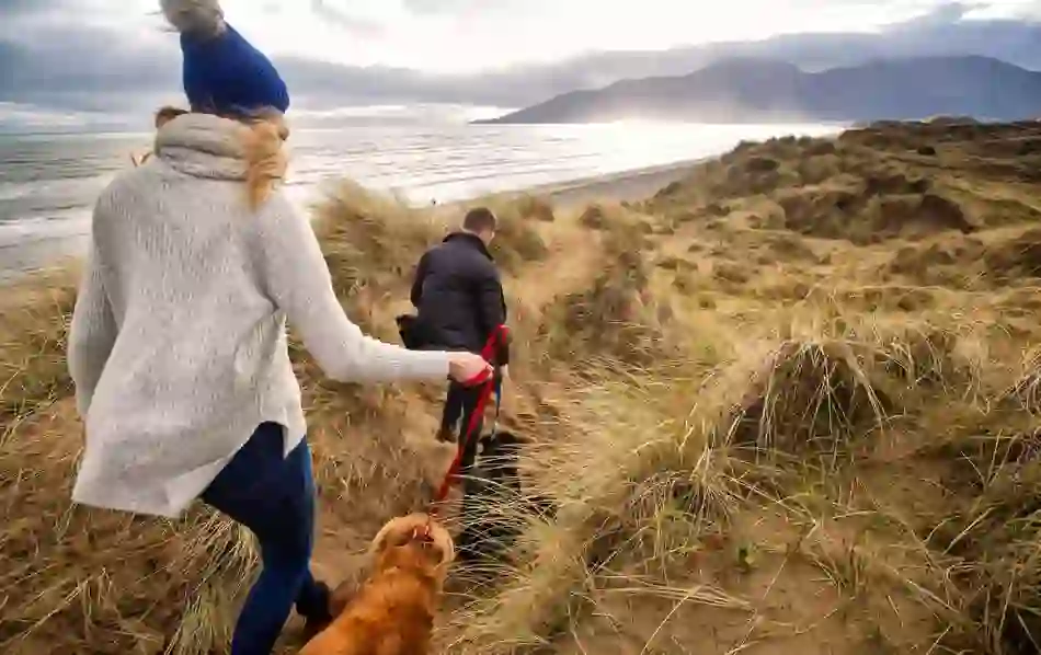 Murlough Bay, County Antrim