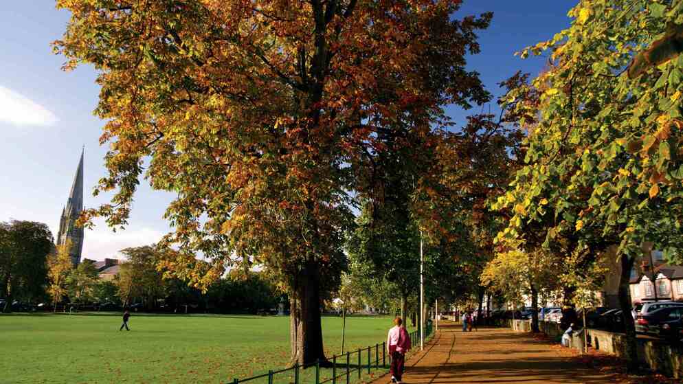 Allée bordée d'arbres à Armagh avec des feuilles d'automne, des piétons et la flèche de l'église Saint Patrick en arrière-plan.