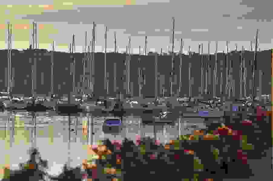 Kinsale Harbour CoWeb Size