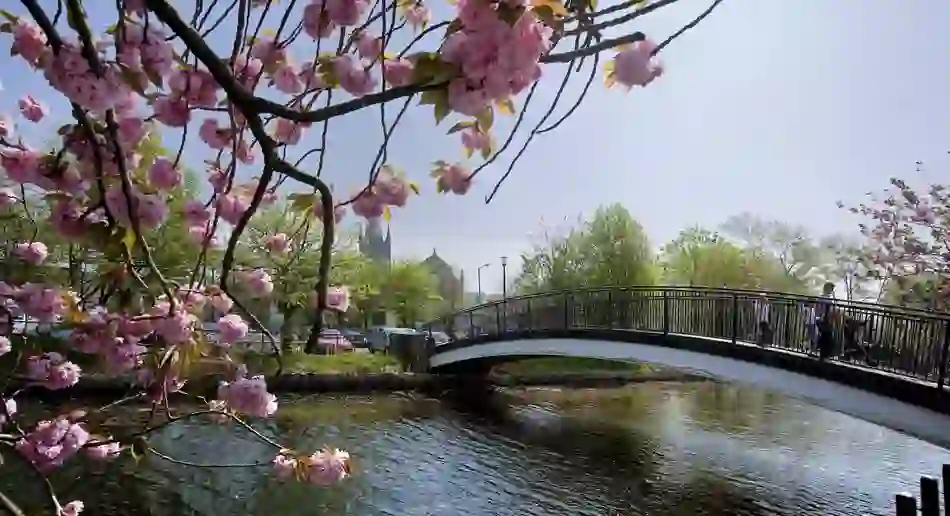 bridge-in-newry-county-down