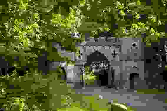 Tollymore Forest Park, County Down