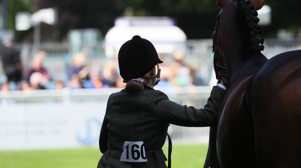 Dublin Horse Show