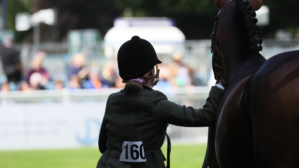 Dublin Horse Show