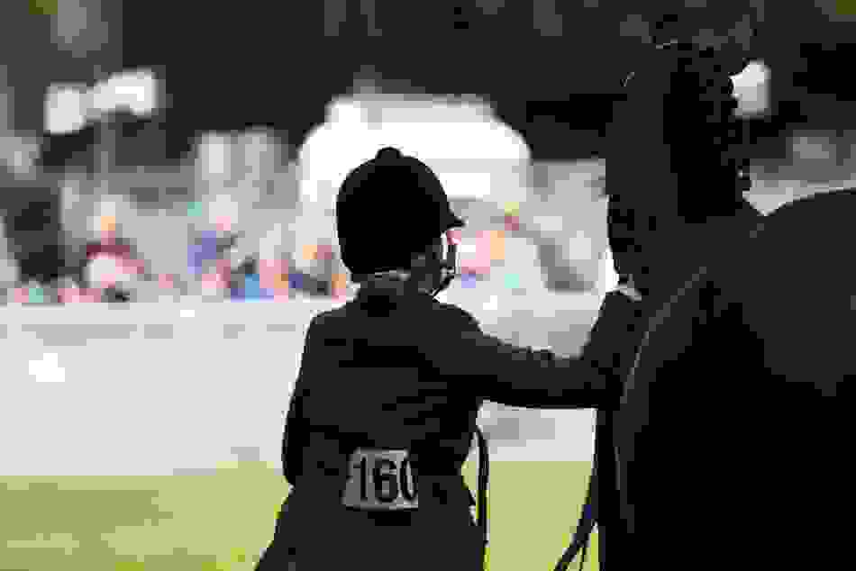 Dublin Horse Show, County Dublin