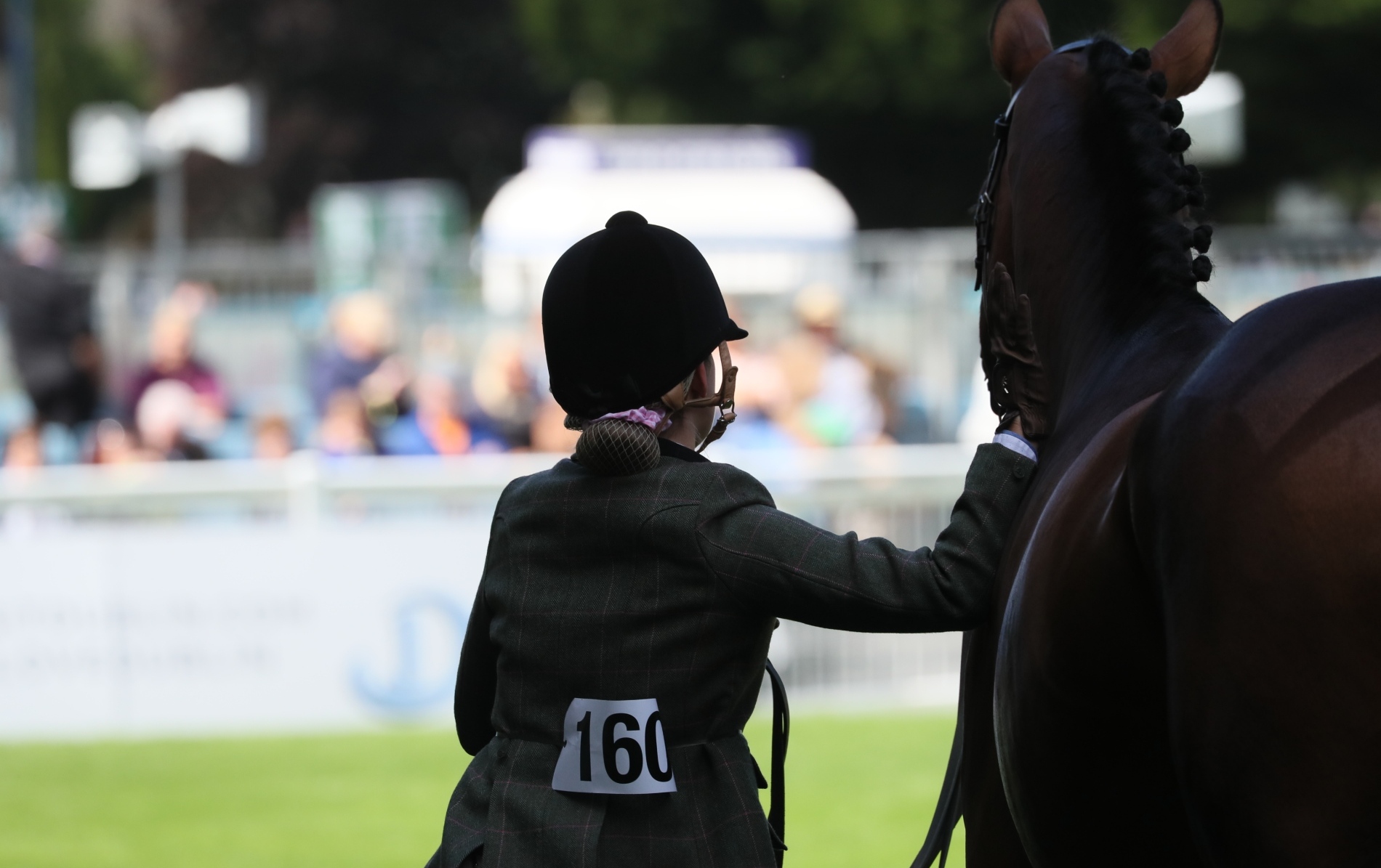 Dublin Horse Show, County Dublin