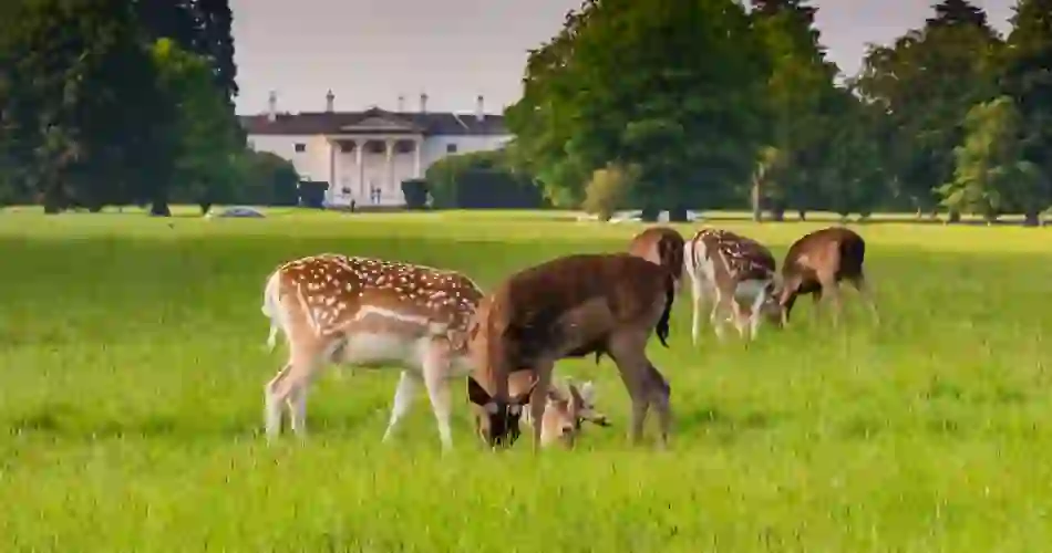 Phoenix Park, Dublin