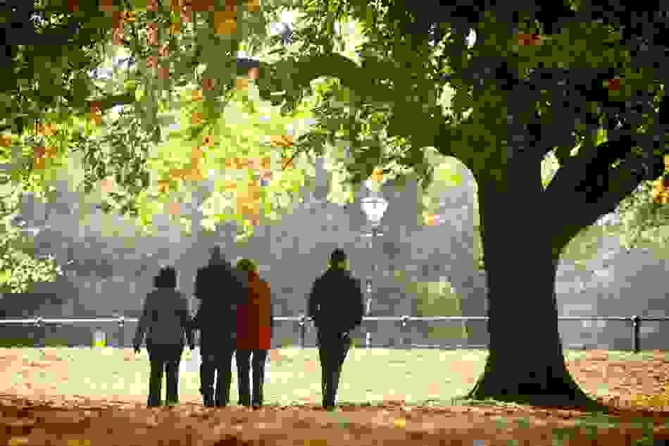 Phoenix Park