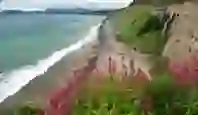 killiney bay