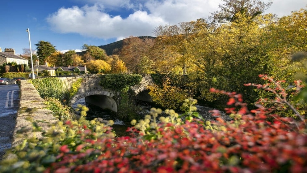Rostrevor Autumn