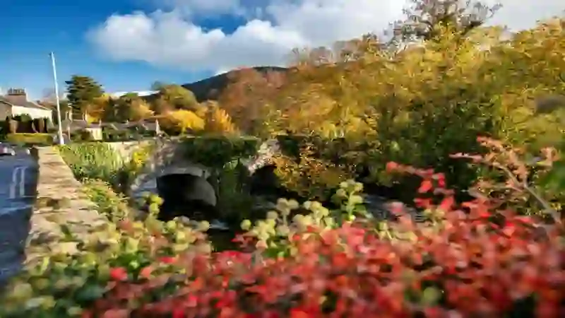 Rostrevor Autumn