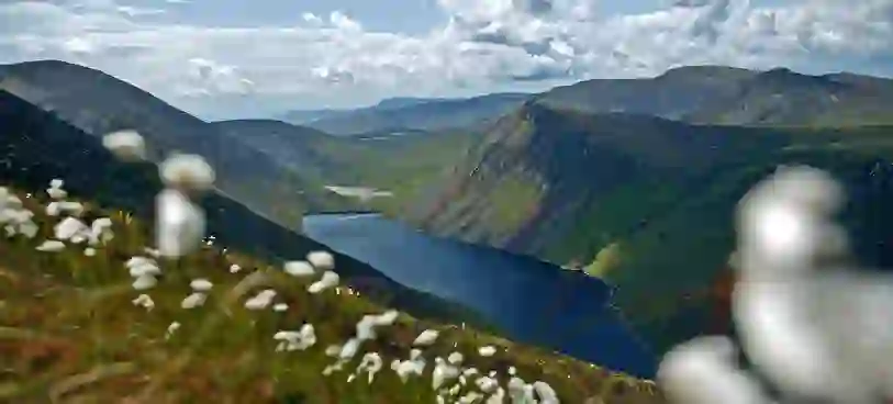 homepage-august-mournes-down