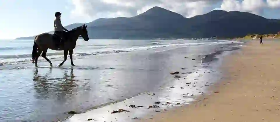 A rider on horseback walks along the shoreline at Newcastle Beach with the Mourne Mountains rising in the background, County Down.