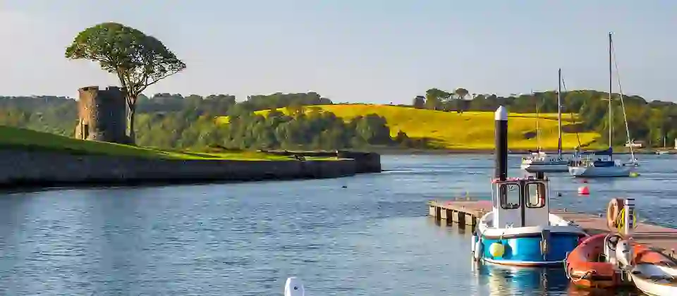 Yachten sind in der Nähe des Anlegers im Dorf Strangford mit einem runden Turm und einem einsamen Baum am grasbewachsenen Ufer in der Grafschaft Down festgemacht.