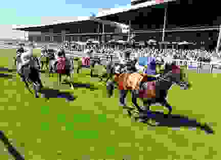 The Curragh Racecourse