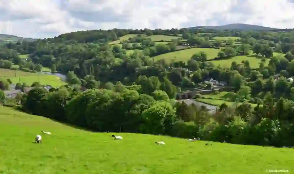 Instioge, County Kilkenny ©Shutterstock