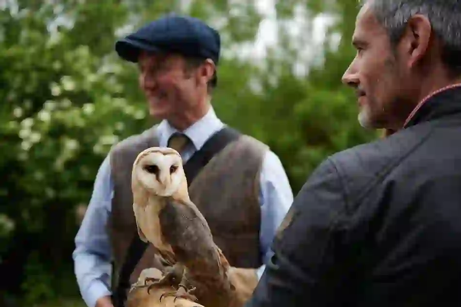 dromoland-castle-falconry