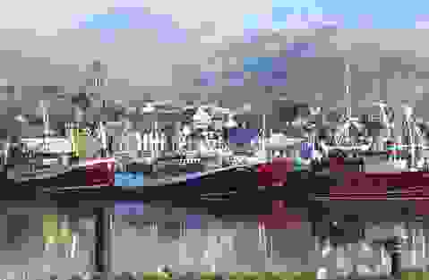 wild-ireland-quiz-q1-dingle