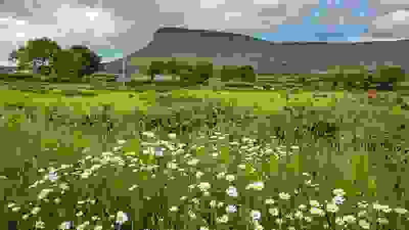Benbulben, County Sligo
