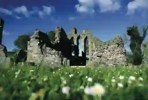 Inch Abbey, County Down