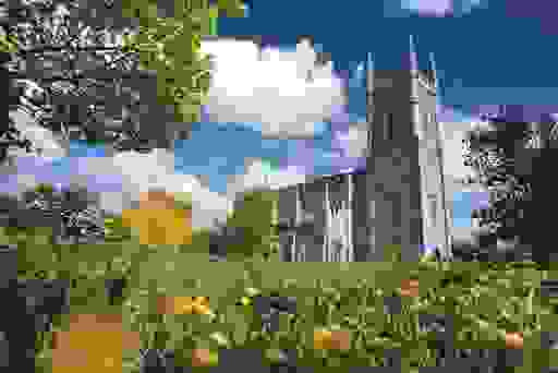 Cathédrale de Downpatrick encadrée de fleurs sauvages et de ciel bleu.