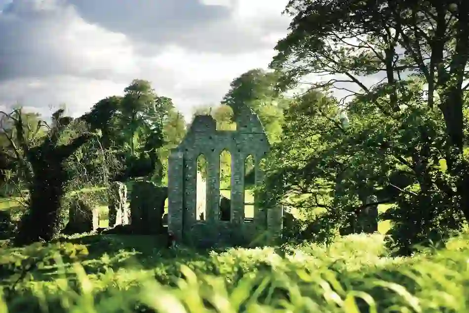 strangford-bg-inch-abbey