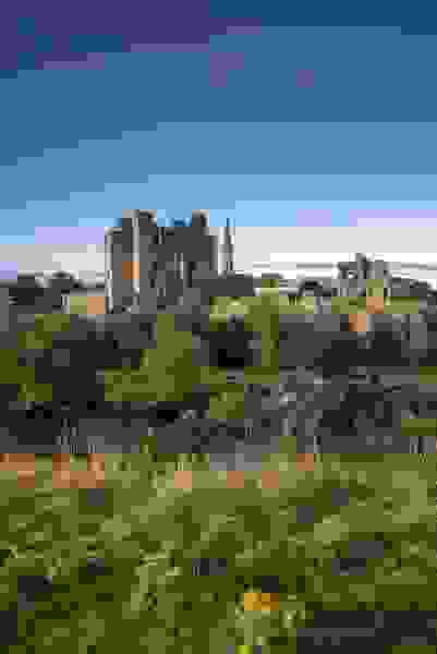 Trim Castle