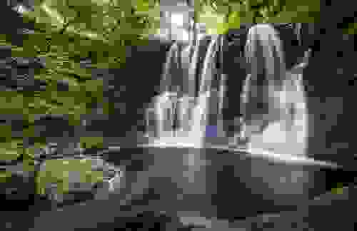 Glenariff Forest Park, County Antrim