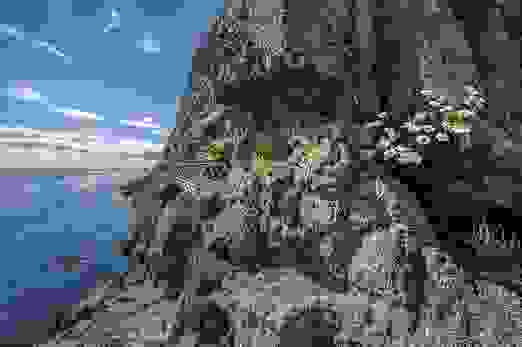 The Gobbins, County Antrim