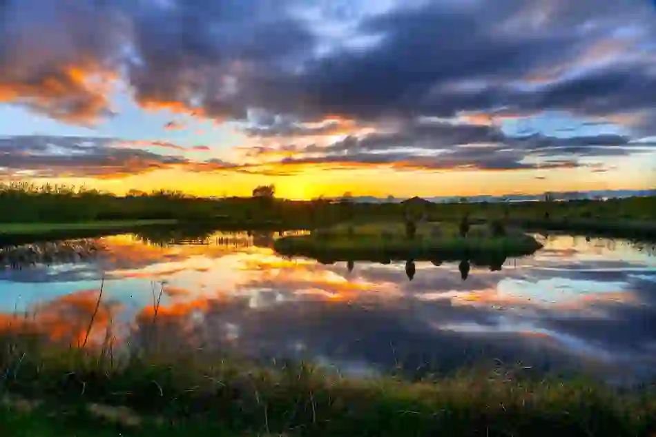 Willowbrook Glamping, County Roscommon