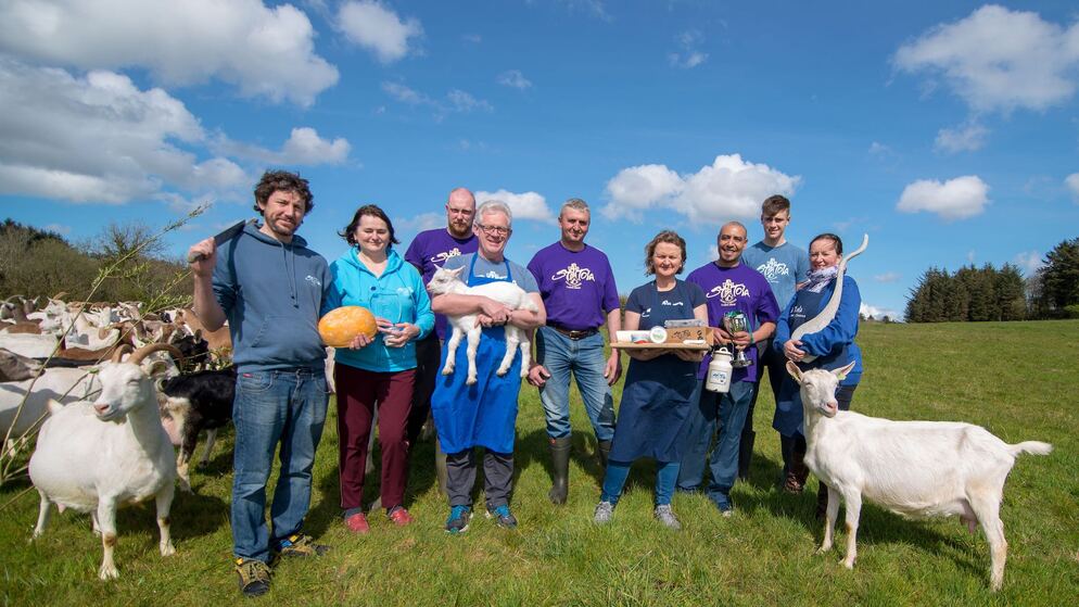 Group of Irish artisan food producers standing with goats in a sunny field.
