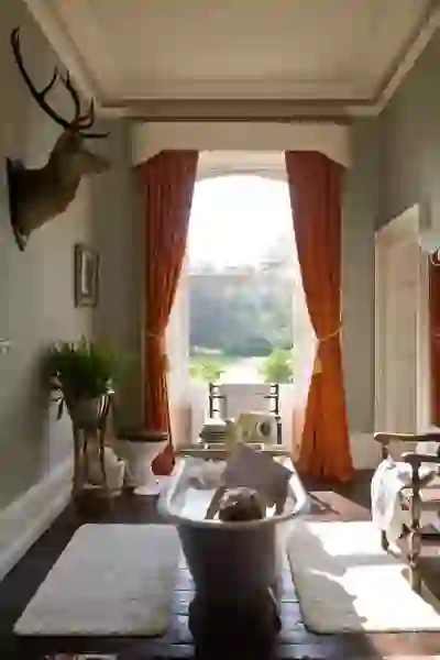 bedandbreakfast-ballyvolanehouse-portraitimage