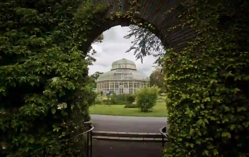 belfastwalks-botanicgardens