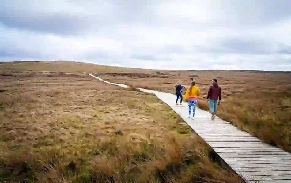 belfastwalks-divisblackmountains