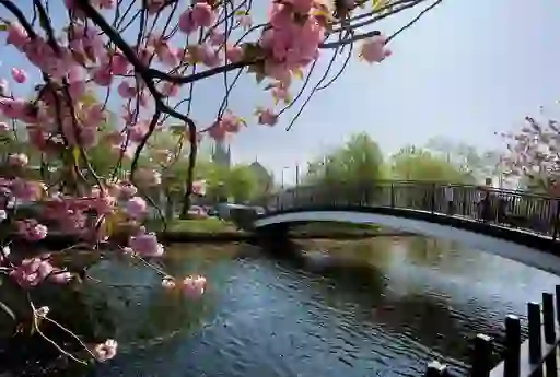 Newry, County Down
