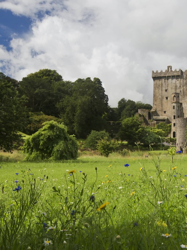 blarney-castle-county-cork-grassy-foreground