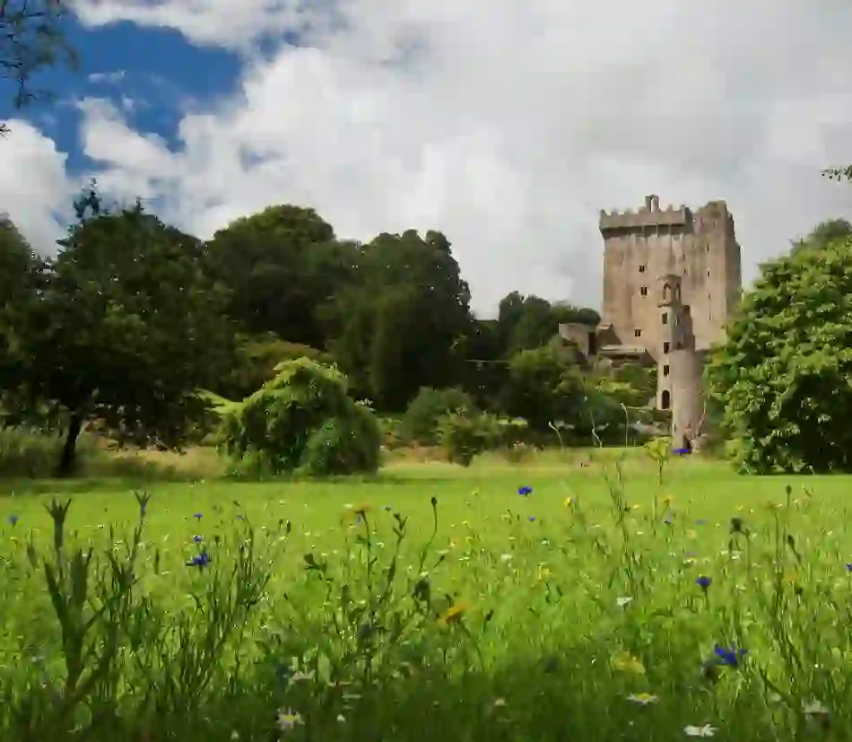 blarney-castle-county-cork-grassy-foreground