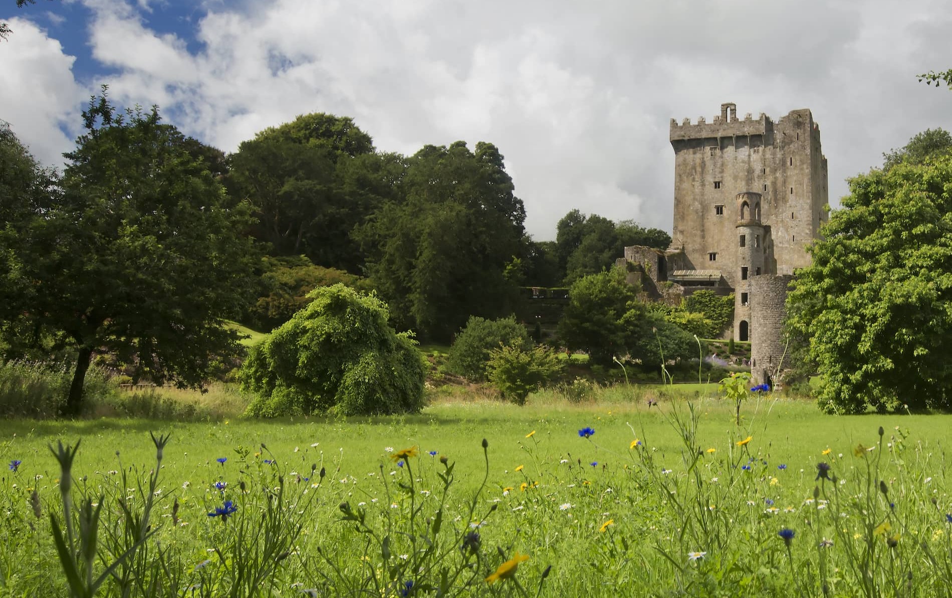 blarney-castle-county-cork-grassy-foreground