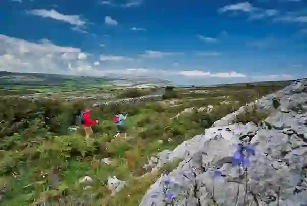 Walking in the Burren, County Clare