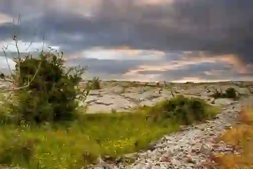 The Burren, County Clare