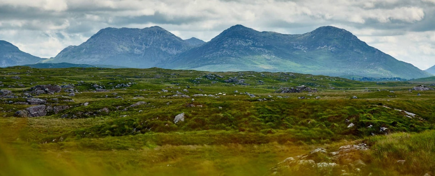Derrigimlagh-derrigimlaghbog-herov1