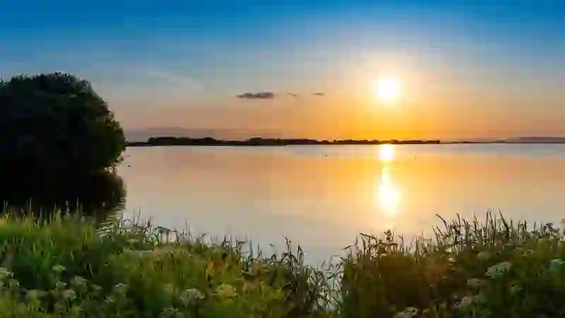 Sunset over the tranquil waters of Lough Neagh with reeds and wildflowers along the shoreline, County Armagh.